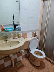Blk 133 Cashew Road (Bukit Panjang), HDB Executive #389392511